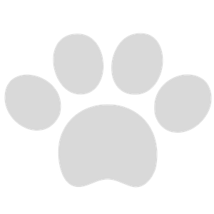 Dog bite attorney in Huntsville, Alabama — DeFatta Law Firm